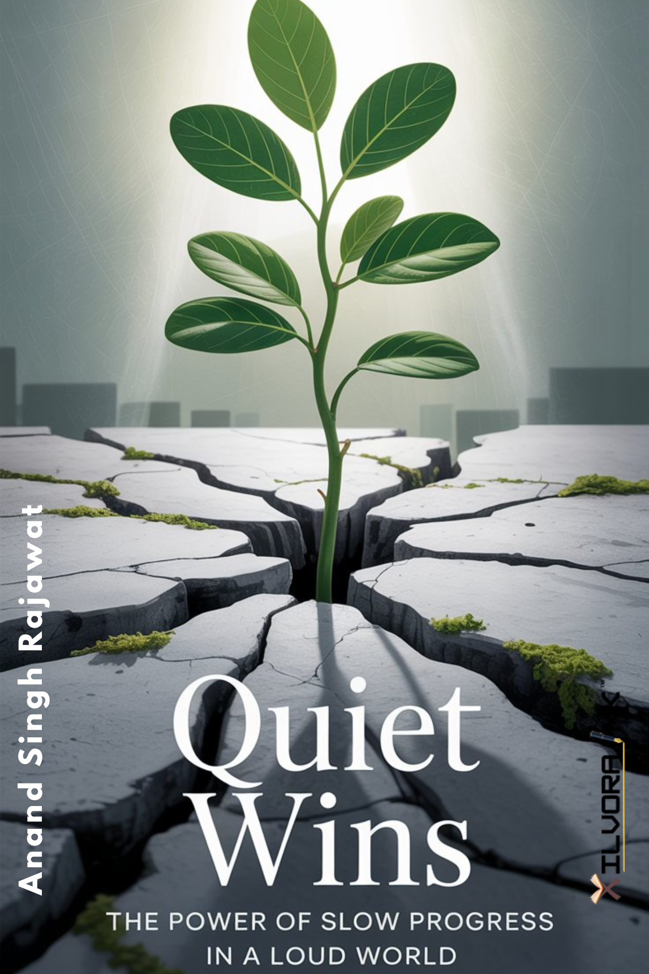 Quiet Wins: The Power of Slow Progress in a Loud World